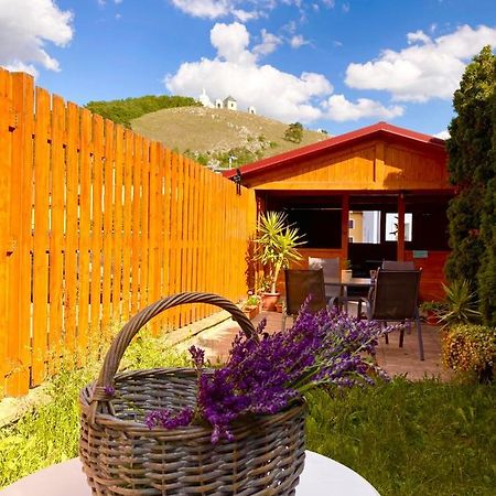 Guesthouse Mikulas Mikulov - Free Parking In The City Center Buitenkant foto
