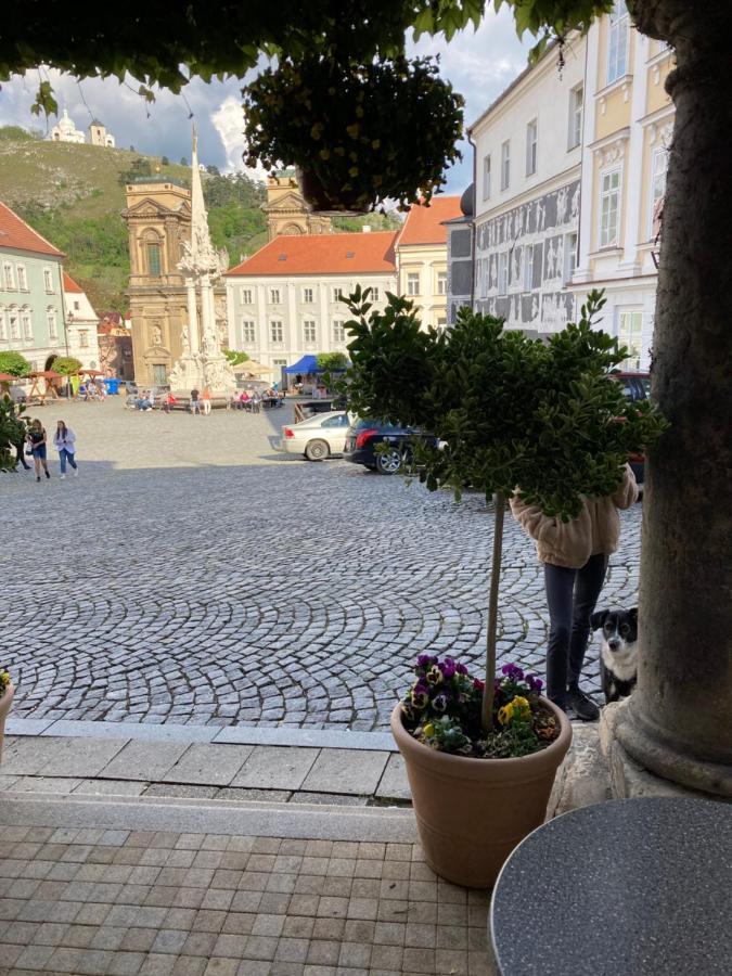 Guesthouse Mikulas Mikulov - Free Parking In The City Center Buitenkant foto