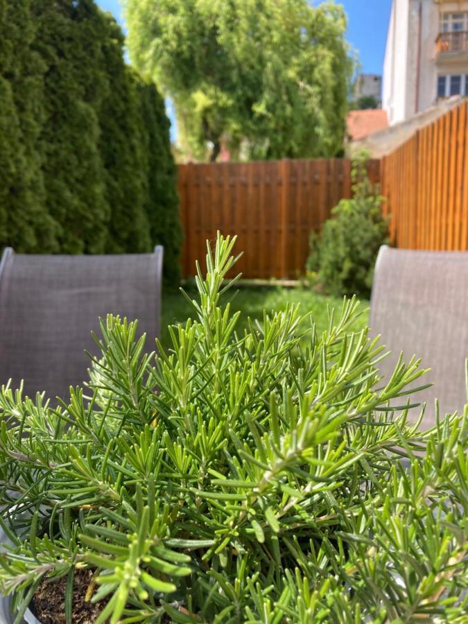 Guesthouse Mikulas Mikulov - Free Parking In The City Center Buitenkant foto