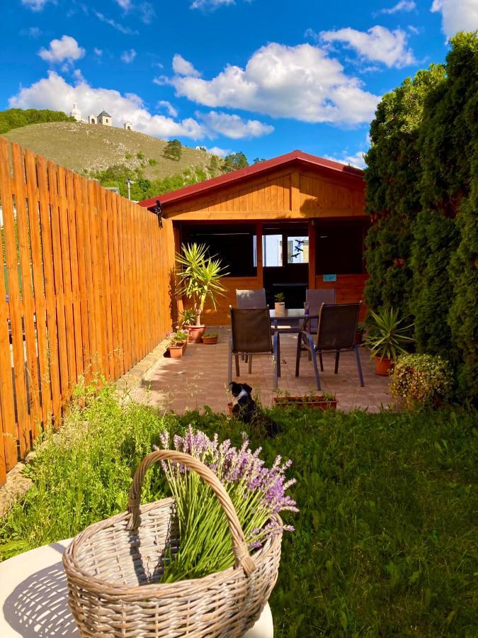 Guesthouse Mikulas Mikulov - Free Parking In The City Center Buitenkant foto