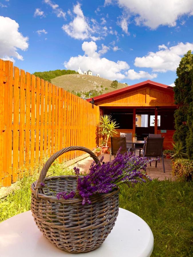 Guesthouse Mikulas Mikulov - Free Parking In The City Center Buitenkant foto