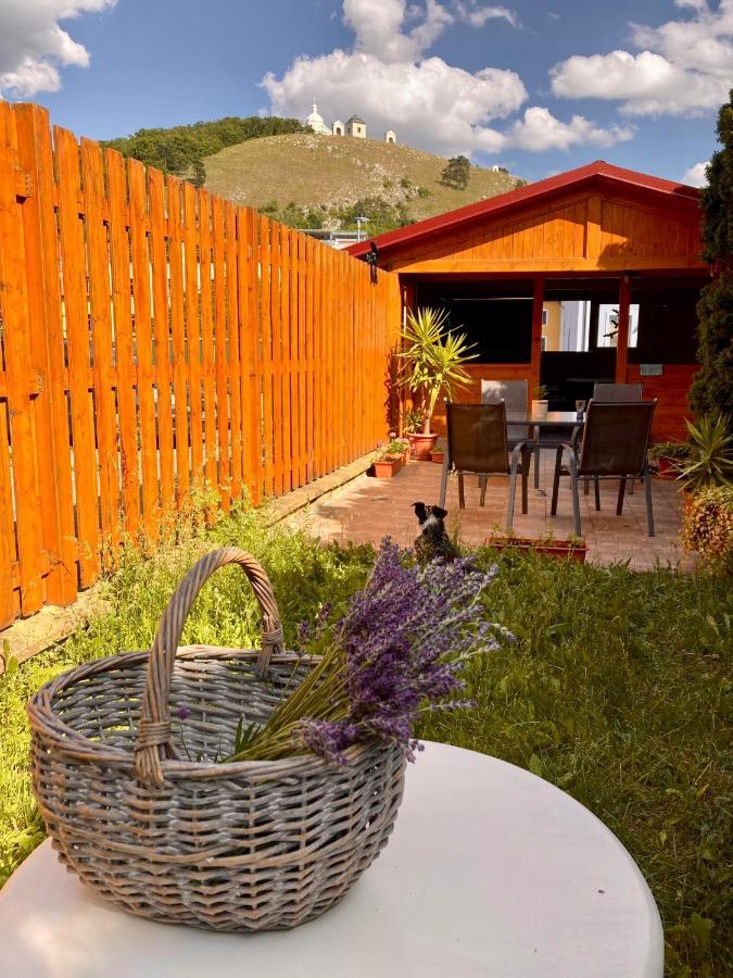 Guesthouse Mikulas Mikulov - Free Parking In The City Center Buitenkant foto