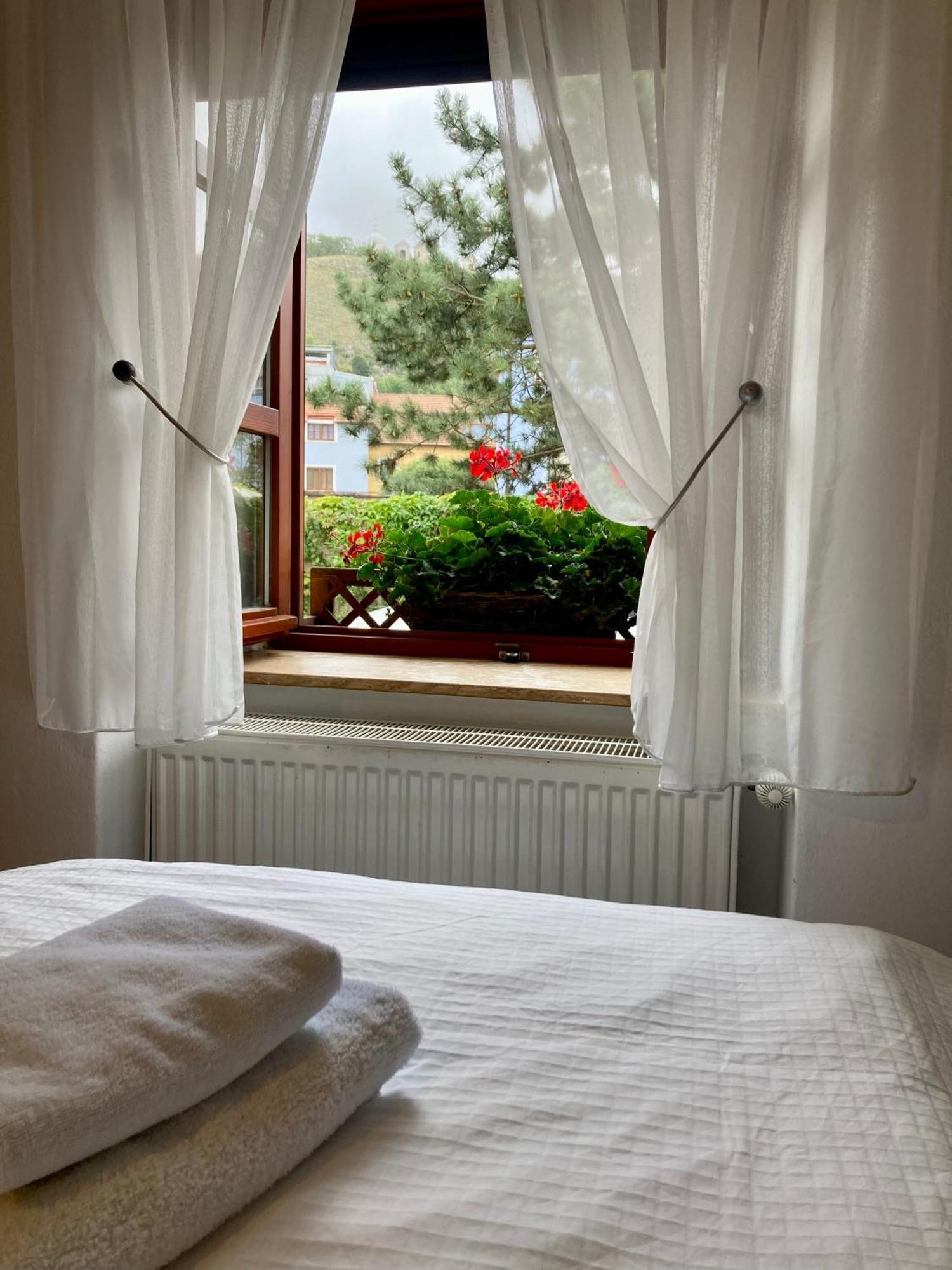 Guesthouse Mikulas Mikulov - Free Parking In The City Center Buitenkant foto